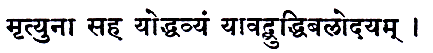 Sanskrit P28B