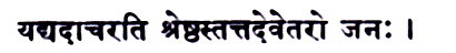 Sanskrit P31C