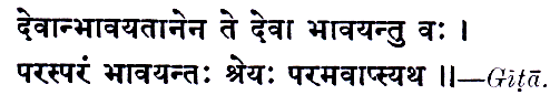 Sanskrit P24